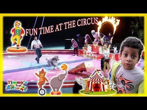 Circus For Kids | Animals Circus Dogs show Fun time with family Part 1