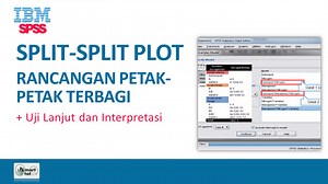 SPSS Tutorial: Split Plot Design (SPD)