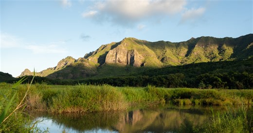 The Hulē‘ia National Wildlife Refuge | U.S. Fish & Wildlife Service