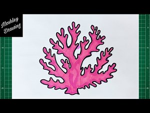 How to Draw a Coral Step by Step