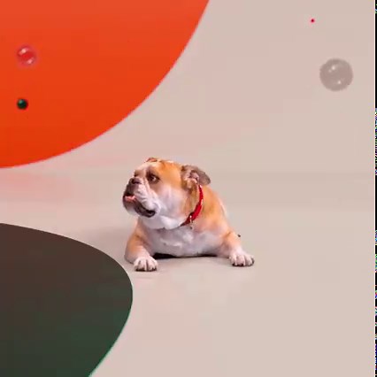 176 reactions | MINI RESOLUTE EDITION.​​ 世界を、愉快に。​​...