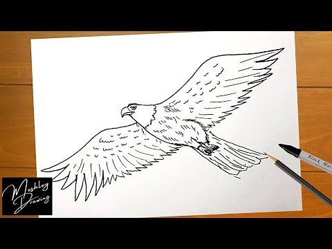 How to Draw an Eagle Flying Easy Step by Step - Eagle Bird Drawing