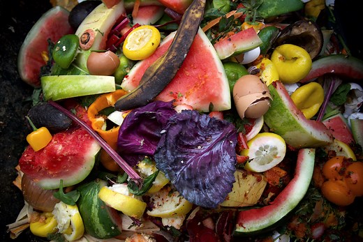 Food Waste in America: Facts and Statistics | Rubicon