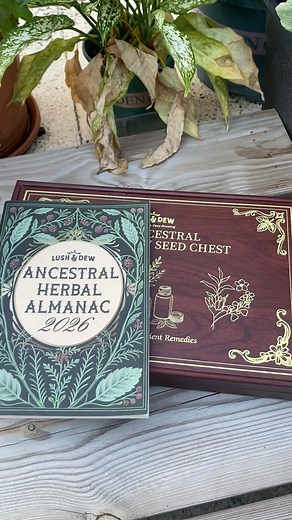 🌟 Your Christmas shopping solved! The ancestral seed chest offers 40 medicinal seeds & guide in elegant containers. Includes beloved chamomile and bright echinacea for home growing. Special offer - save 20% on all seed sets! ✨ | Lush&Dew