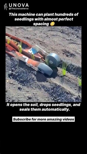This Machine Plants Hundreds of Seedlings with Precision 😳🌱