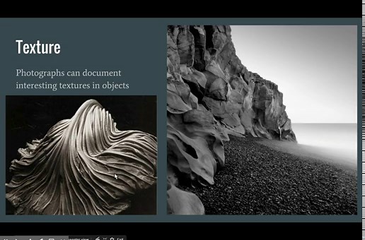 What Are The Elements and Principles of Photography?