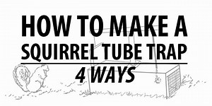 How to Make a Squirrel Tube Trap 4 Ways