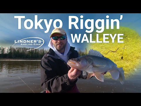 Tokyo Rigging Walleye