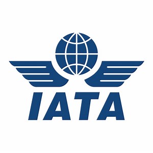 IATA Codes - Information about IATA codes | Airportcodes.io