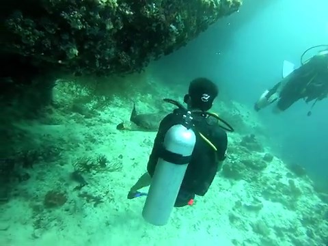 ダイビングに最適な水中カメラの選び方と予算別おすすめ6選！防水カメラ,GoPro,360度カメラ,どれを選ぶ？ - Rentio PRESS [レンティオプレス]