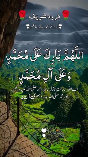 56K views · 12K reactions | The history of #photography began with...