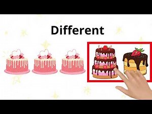Same and Different | Concept Same and Different | Learn the same and different objects | YouTubekids