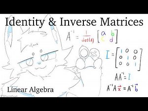 Furry teaches you Identity and Inverse Matrices - Linear Algebra