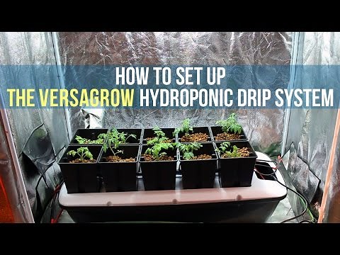 How to Set up a Hydroponic Drip System for Indoor Gardening | Versagrow | GrowAce.com