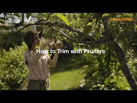 How to use pruners | Fiskars