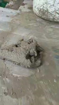 Applying Buildrite Concrete Patch V for overhead damaged or spalled concrete slab