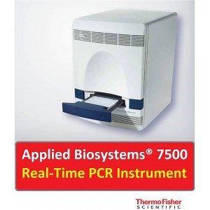 Applied Biosystems 7500 | Axonia Medical