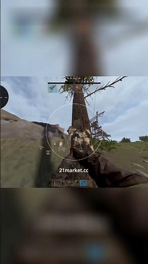 Can You Really Win With Cheats in Rust?