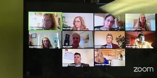 What the Tech? Fake Zoom Meetings