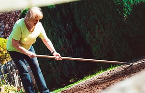 Effortlessly Clear Rocks From Your Garden | LoveToKnow