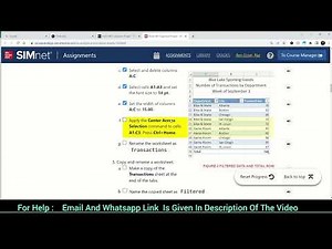 In Practice Excel 365 Application Capstone Project 2 | Help in 2024 chapter 2