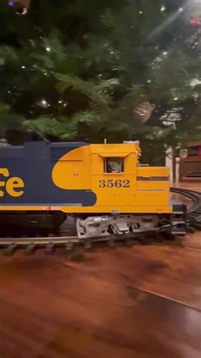 Lgb holiday train going around Christmas tree ! #christmas #trains #Lgb