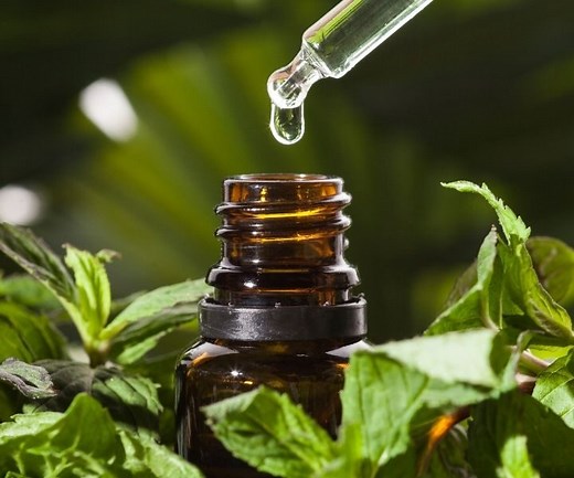 Using Essential Oils on Plants: 15 Oils and Benefits - Flourishing Plants