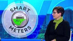 One-on-one with Patricia Nilsen, President and CEO of NYSEG, regarding smart meter complaints