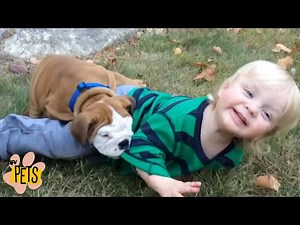 Have Some Adorable Moments | The Best Cute, Funny Animal Videos Compilation #10 | AFV Pets