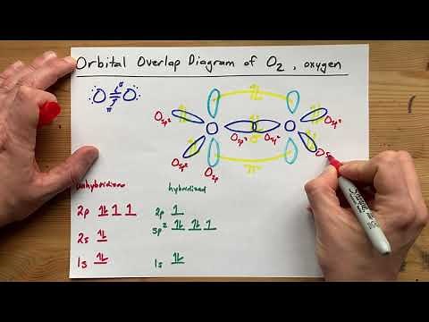 Draw the Orbital Overlap Diagram of O2 (Oxygen gas)