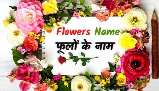 100  Flowers Name In Hindi-English (फूलों के नाम)