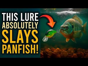 ULTRALIGHT FISHING for PANFISH (SIMPLE Way to Catch TONS of PANFISH!)