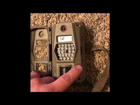 Tasco 6mp Trail Camera Setup
