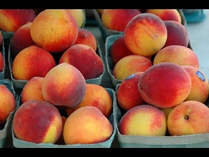 Peaches 101 - Health Benefits of Peaches