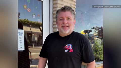 The Absolute Best Fried Fish Sandwiches In Every State