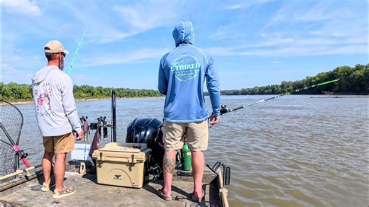 Catching giant fish on a massive river