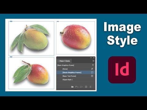 How to create Custom Image Style in adobe InDesign