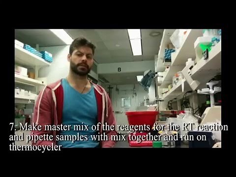 How to do qRT-PCR (2/3)