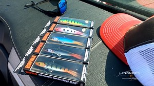 6.8K views · 323 reactions | Al and Troy Lindner Tackle Canada’s Donkey-Size Walleye with Rapala® Jigging Shadow Rap Lindner's Angling Edge | Rapala | Facebook