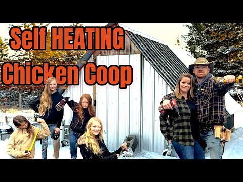 We built a self heating chicken coop | Keep your chickens warm all winter…