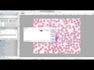 Microscope camera software introduction: Manual Cell Counting