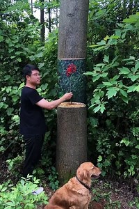 120K views · 4.1K reactions | 3D drawing in nature | Beautiful Artworks | Facebook