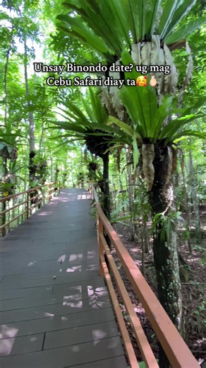 Cebu Safari: Worth the Experience!