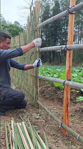 Process of building a bamboo fence for the vegetable garden