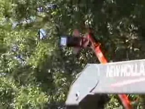 LimbSaw LSC Circular Tree Saw