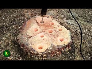 How to Remove a Tree Stump, Kill the Roots and Prevent Regrowth...