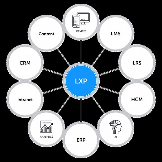 Learning Experience Platform (LXP): The Definitive Guide