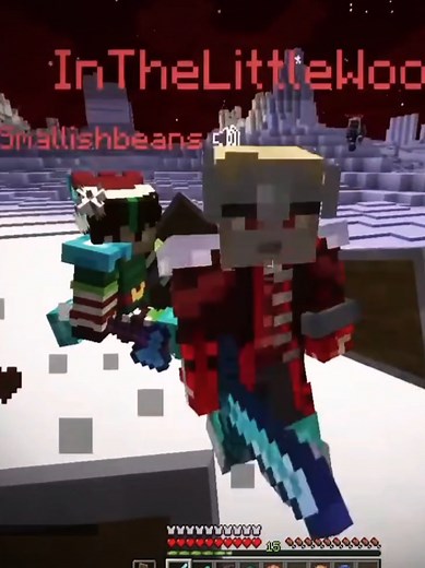 Minecraft Nice Life SMP Team Dynamics Explained