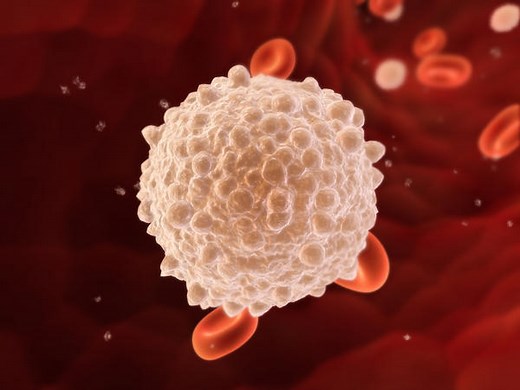 5 White Blood Cells Types and Their Functions