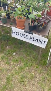 2.8K views · 40 reactions | We’re here until 3pm! Not pictured: adorable, adoptable dogs  | RESCUEDohio | Facebook